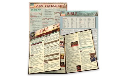 The Bible and Jesus Guides