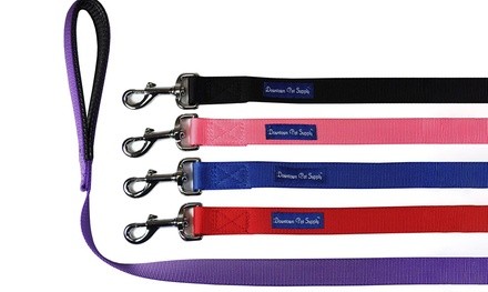 Nylon Padded Dog Pet Leash (2, 4, or 6Ft.)