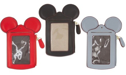 Theme Park Ticket & ID Card Holder