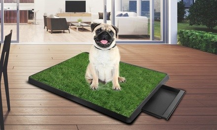 iMounTEK Pet Portable Indoor or Outdoor Potty