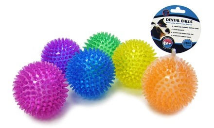 Bow Wow Pet Extra Large Bouncy Dental Balls (6-Pack)