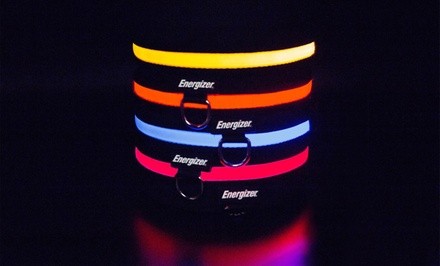 Energizer Ignite LED Dog Collar