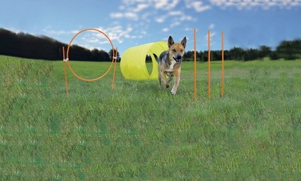 Outward Hound Outdoor Dog Agility Starter Kit (9-Piece)