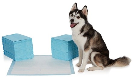 EZ-PET Heavy-Duty Training Pads (100-, 200-, 300-, 400-, or 600-Pack)