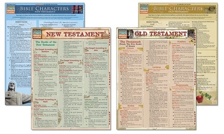 Learn the Bible Laminated Study-Guide Bundle (4-Piece)