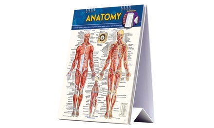 QuickStudy Anatomy Desk Reference with Stand