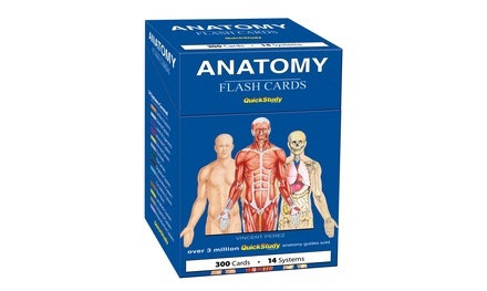 Human Anatomy Flash Cards