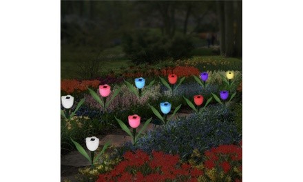 Tulip Solar-Powered LED Lights (6-Pack)