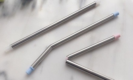 Reusable Folding Stainless-Steel Straw with Case and Cleaning Brush