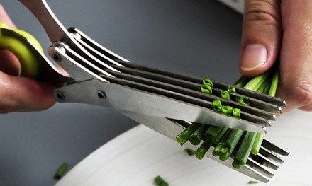 Stainless Steel 5-Blade Herb Scissors with Cleaning Brush