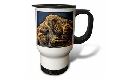  Travel Mug Phacopidae trilobites from the devonic in Morrocco - 14oz 