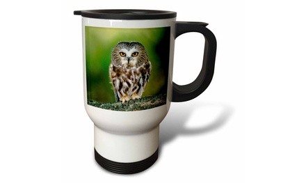  Travel Mug Colorado. Northern saw-whet owl - US06 BJA0052 - Jaynes Gallery - 1