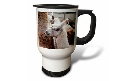  Travel Mug Argentina, Jujuy, Tilcara, llama - SA01 JRI0112 - Jutta Riegel - 14