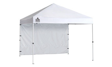 Commercial 10 x 10 ft. Straight Leg Canopy 