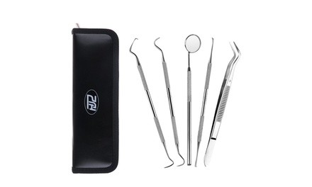 HJZ Dental Hygiene Kit - 5 Piece Stainless Steel Dentist Tools