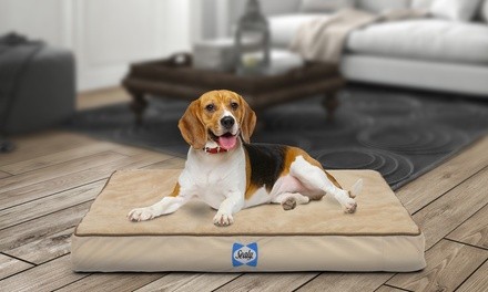 Sealy Orthopedic Foam Dog Bed