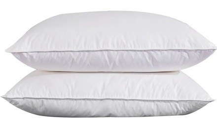 Elliz White Goose Feather and Down Pillow, Set of 2