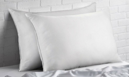 Ella Jayne Overstuffed Down-Like Fiber-Filled Pillows (2-Pack)