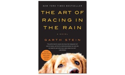 The Art of Racing in the Rain Garth Stein's Book