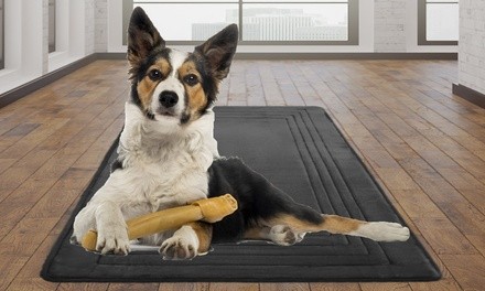 Oversized Memory-Foam Rug Mat for Dogs