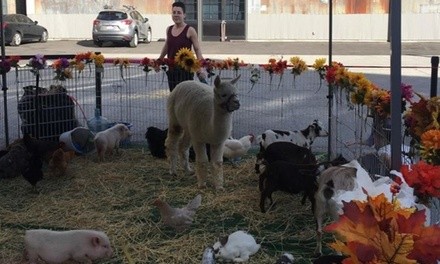 Mobile Pony Party or Mobile Petting Zoo from Friendly Pony Parties and Barnyard Pals (Up to 31% Off)