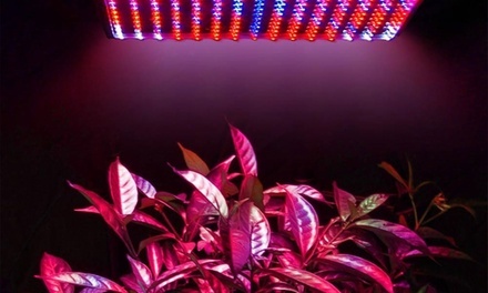 Full Spectrum 225-LED Plant Grow Light Set