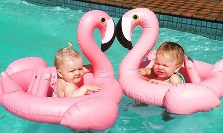 Baby Flamingo and Swan Swim Floats