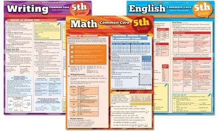 Common Core Laminated Study Guide