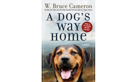 A Dog's Way Home