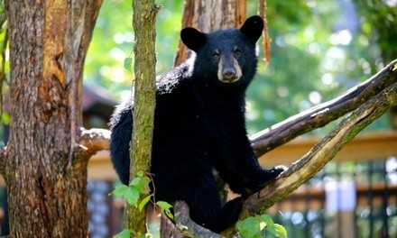 Admission for One, Two, Four, Or Six at Vince Shute Wildlife Sanctuary (Up to 35% Off)