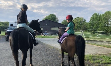 Five Horseback-riding Lessons for Ages 2-4, 5-7, or 8 and Up at Prospect Hill Farm (Up to 26% Off)