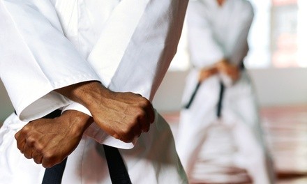 One-Month of Kung Fu Wing Chun Fitness Classes for Adults or Kids at Savannah Ving Tsun Shaolin Center (Up to 67% Off)