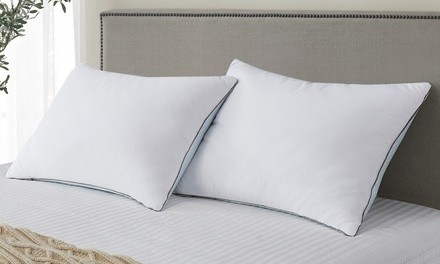 Kathy Ireland Summer-Winter White Goose Feather Pillow (2-Pack)