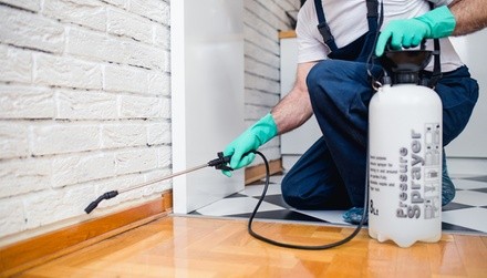 $200 for 6 months of pest control ($400 value)