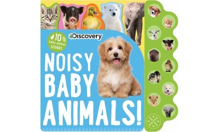 Discovery: Noisy Baby Animals!