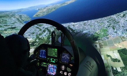 Up to 30% Off on Arcade at Optifly Flight Simulation Center