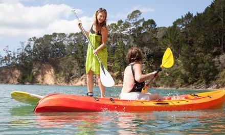 Paddleboard or Kayak Rentals from Getboards Ride Shop (Up to 57% Off). 4 Options Available. 