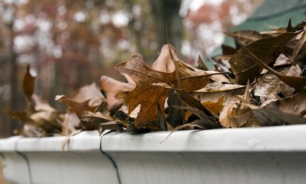 Up to 45% Off on Gutter Cleaning at Amaze Clean TX