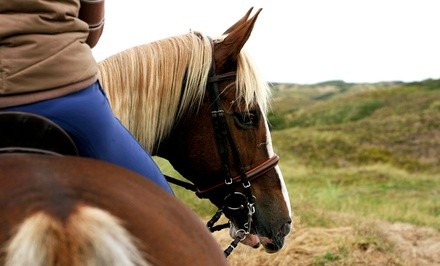 Two or Four 60-Minute Private Horseback-Riding Lessons at Leener Acres Ranch (Up to 53% Off)