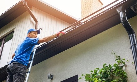 Up to 50% Off on Gutter Cleaning at External Wash LLC