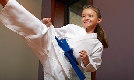 One or Three Months of Kids' Martial Arts Classes at Chicago Combat MMA (Up to 
72% Off)


