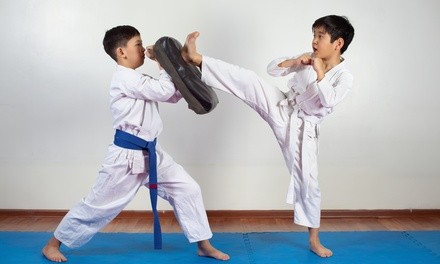 Up to 52% Off at Martial Art Center La Porte