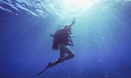 Certified Open Water Scuba Course Package or Seven Swim Classes at Scuba Schools of America (Up to 45% Off)