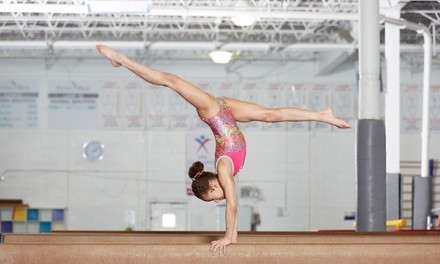 One Month of Gymnastics Classes at Exper-Tiess Gymnastics (Up to 54% Off). Three Options Available.  