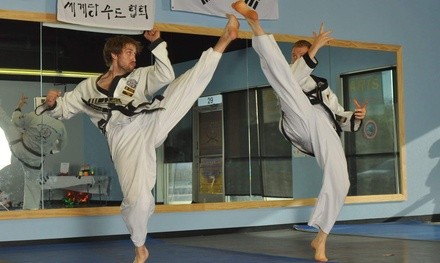 Up to 74% Off at Martial Arts Academy of Tang Soo Do - MN