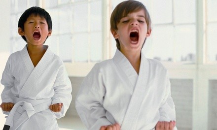 5, 10, or 20 Kids' Classes at Eagle Mixed Martial Arts (Up to 78% Off)