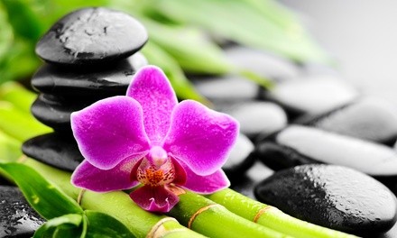 $25 for Four 15-Minute HydroMassage Sessions and a Health Consultation at ChiroMassage Centers ($125 Value) 