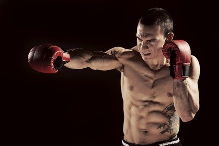 Up to 60% Off on Boxing / Kickboxing - Recreational at Xtreme Kicks Martial Arts