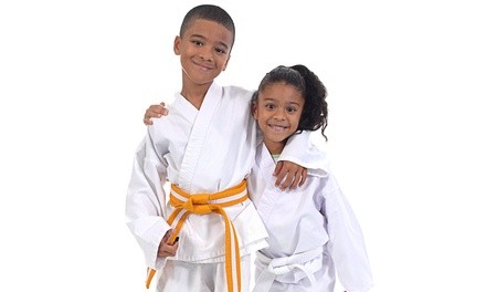One or Three Months of Youth Aikido Classes at Aikido Framingham Aikikai (Up to 61% Off)