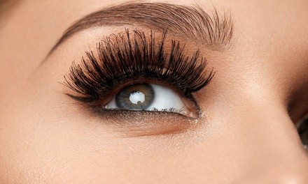 Up to 58% Off on Eyelash Extensions at Lush Extensions